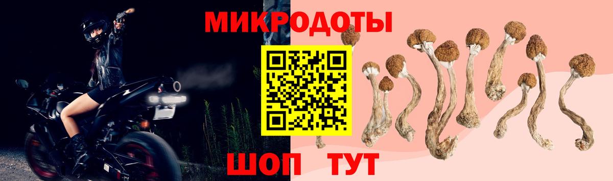 Галлюциногенные грибы MAGIC MUSHROOMS Саранск